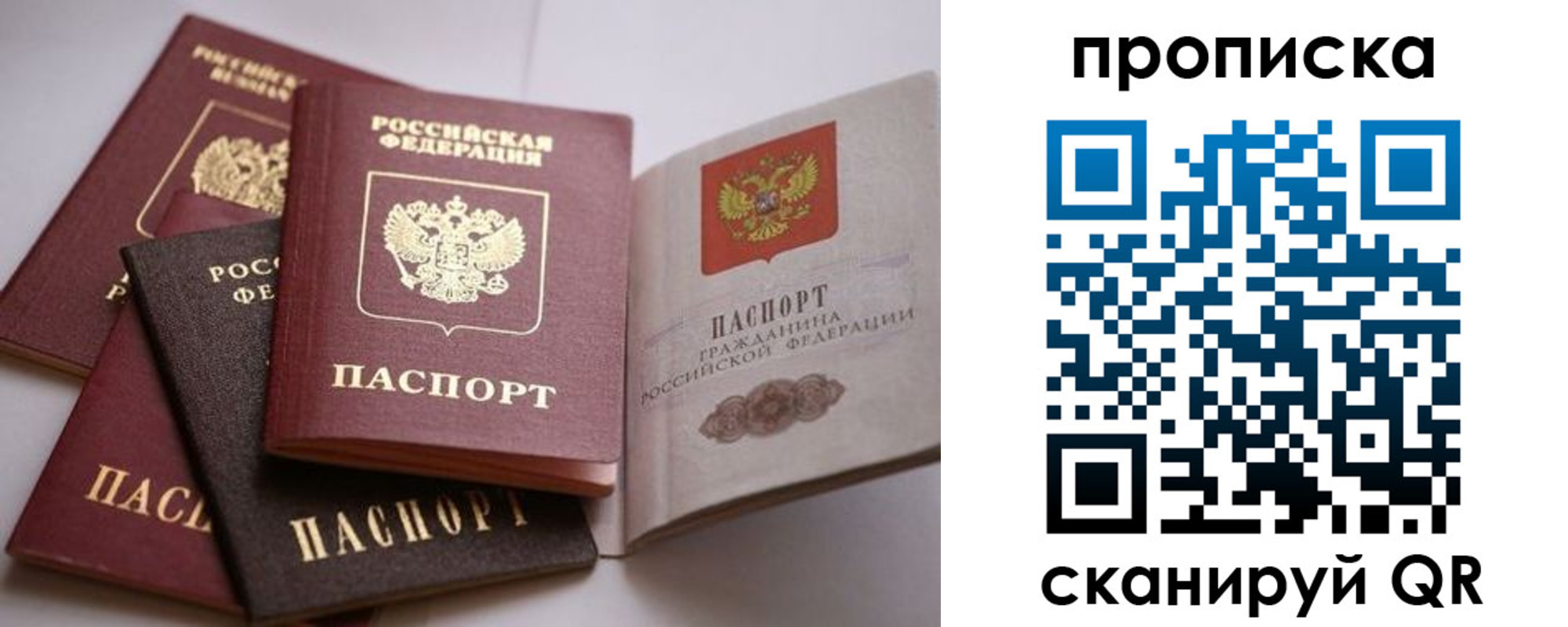 прописка ребенка в Владимирской области